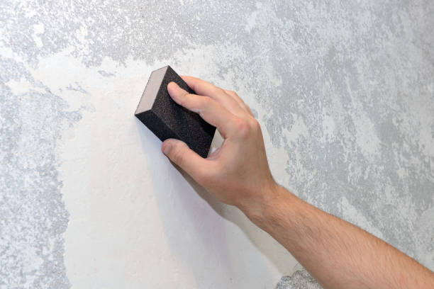 Best Mold Removal for HVAC Installations  in Quincy, IL