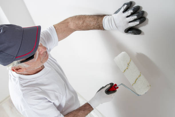 Best Post-Remediation Verification Testing  in Quincy, IL