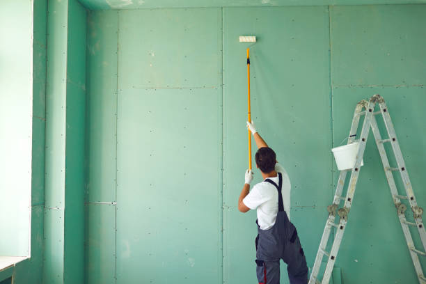 Best Biohazard Mold Removal  in Quincy, IL