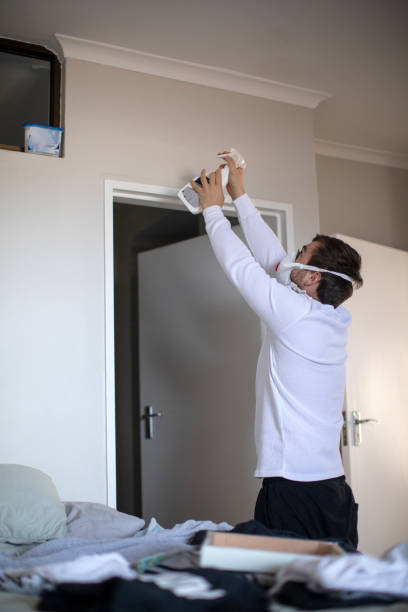 Best Asbestos and Lead Testing During Mold Inspection  in Quincy, IL