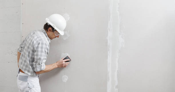 Best Mold Documentation for Insurance Claims  in Quincy, IL