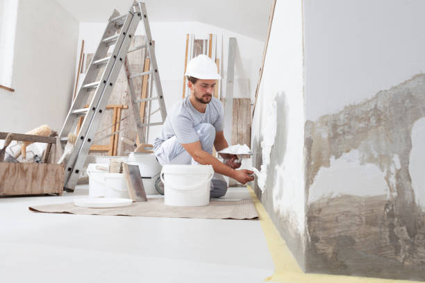 Best Industrial Mold Remediation  in Quincy, IL