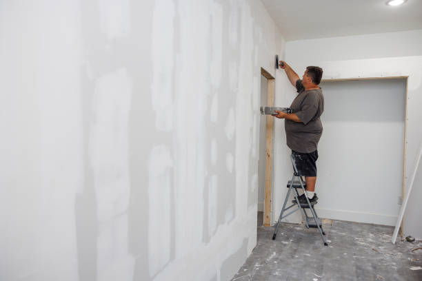 Best Mold Remediation for Healthcare Facilities  in Quincy, IL