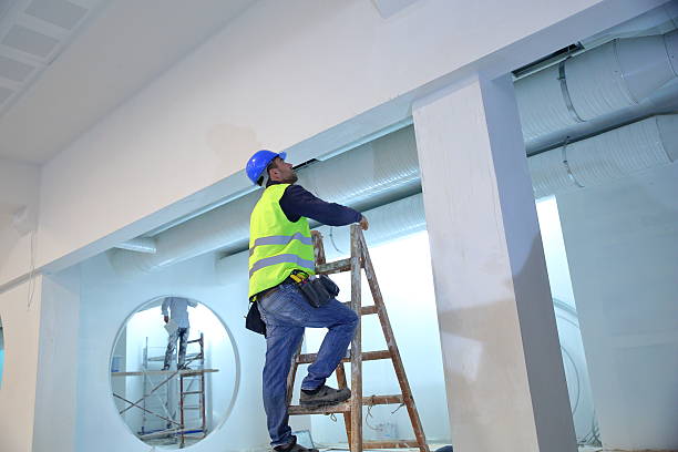 Best Mold Damage Restoration  in Quincy, IL