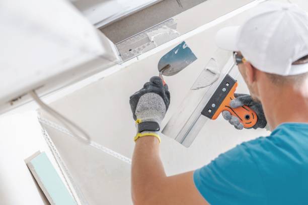 Best Mold Remediation for Rental Properties  in Quincy, IL